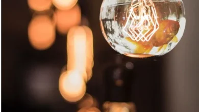 Cronograma de los cortes de luz del 8 de noviembre de 2024.