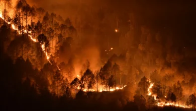 Gobierno confirma declaratoria de emergencia nacional en Ecuador