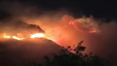 Incendios forestales en Azuay y Loja: 18.500 hectáreas afectadas