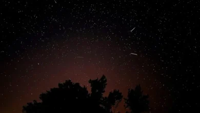 Las Leónidas: cómo y cuándo observar la lluvia de estrellas