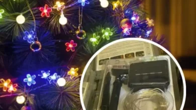 Navidad con luces de energía solar: ¿Dónde adquirirlas?