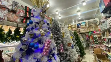 Navidad: Decoraciones y ventas ya en el comercio local.