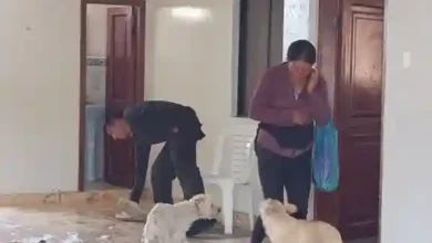 Un adolescente de 16 años de edad se suicida por bullying en La Inmaculada vía a Chambo, el martes 26 de noviembre, en la sala de su casa