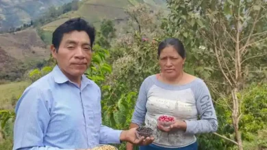 Pallatanga gana concurso del café Taza Dorada 2024 en Ecuador