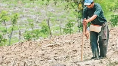 Riobamba aún no recibe los USD 558 mil del Gobierno por sequía