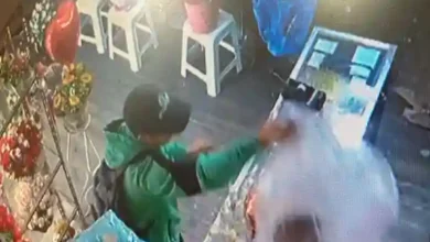 Aunque no lo crea ni los peluches se salvan de la delincuencia en Riobamba. Antisociales 'visitaron' Florarte 'Belén', cerquita a la Policía