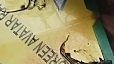 Arcsa: Supermercado en Riobamba clausurado por insalubridad