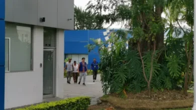 ¿Cuándo se sabrá quiénes son los cuerpos hallados en Taura