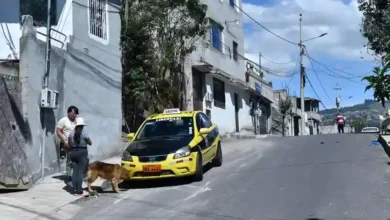 Hijo asesinó a su madre en Quito con 61 puñaladas