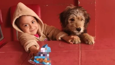 Niños se desarrollan mejor junto a mascotas: Beneficios.