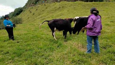 Crédito impulsa economía y emprendimientos en Chimborazo