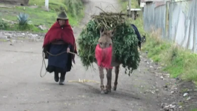 Turismo "Ciudad - Campo" es un plan innovador para Riobamba a ejecutarse con los actores que desarrollan actividades turísticas
