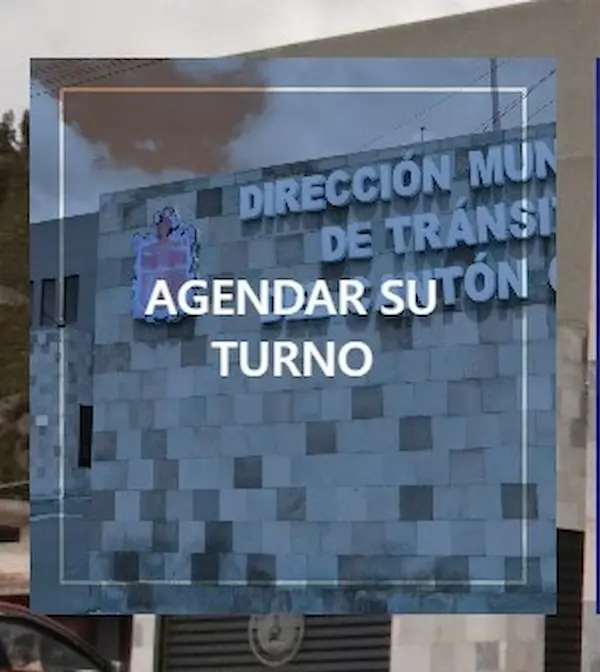 Opción en la web del cantón Guano.