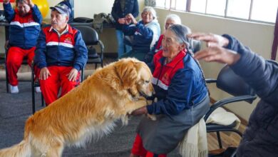 Adultos mayores reciben terapia psicológica con perros. https://laprensa.com.ec/