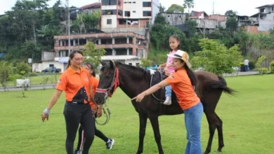 En Morona, la equinoterapia como tratamiento para enfermedades