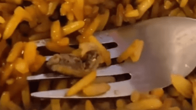 Mujer denuncia comida con gusanos en chifa de Riobamba