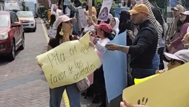 Ciudadanos piden justicia para la perrita ‘Matilda’, en Ambato.
