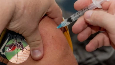 Fiebre amarilla: Ministerio de Salud anuncia un primer caso