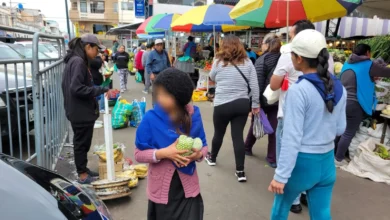 La falta de empleo causa inseguridad e informalidad en el Ecuador. Ciudadanos creen que mientras no se atienda este tema habrá problemas