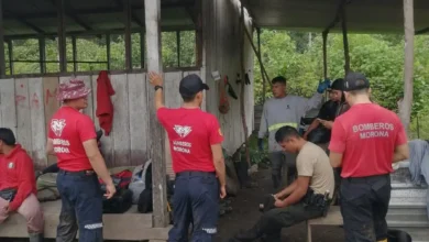 Un niño de 8 años continúa desaparecido en la provincia de Morona Santiago. Se rumora que "se lo tragó la selva"