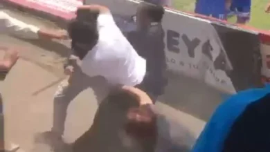 Los chicos, desde la cancha, veían comos sus padres se golpeaban