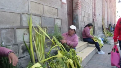 Riobamba: Iglesia católica en Domingo de Ramos y Semana Santa