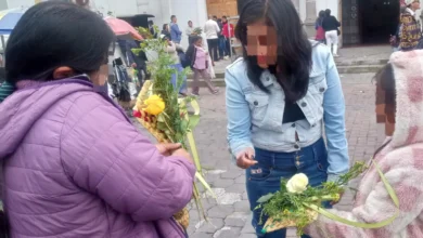 Latacunga: Palma de cera sin control de venta.