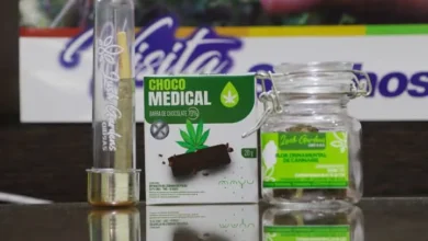 Cotopaxi impulsa cannabis no psicoactivo como motor desarrollo.