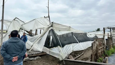 Daños en viviendas e invernaderos por fuertes lluvias.