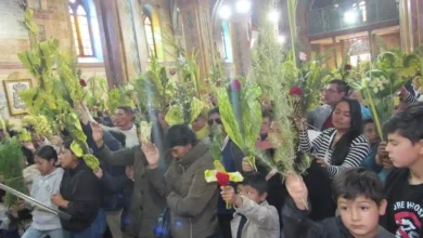 Católicos participaron de la Misa y bendición de los ramos