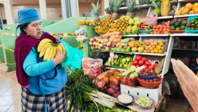 ¿Cómo saber si ya no debo pagar del RIMPE en el SRI?