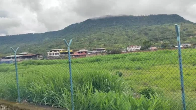Aeropuerto en Macas es foco de mosquitos, ratones y ladrones