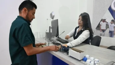 Ambato cómo consultar y pagar la planilla de luz.