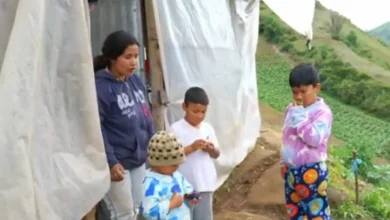 Bolívar: niños sobreviven entre plásticos y frío