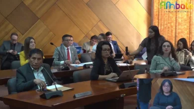 Concejo Municipal no podrá codificar normativas sin Ordenanza.