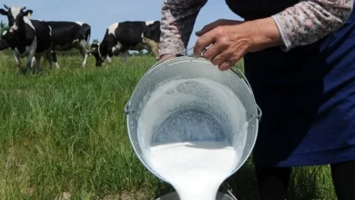 Ecuador exportará leche a El Salvador, pero no es la primera vez