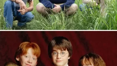 HBO reveló el nuevo elenco oficial de Harry Potter