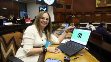 Pierina Correa se despidió de Asamblea tras fracaso del COPINNA