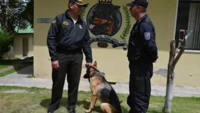 Policía ofrece curso gratuito de adiestramiento canino
