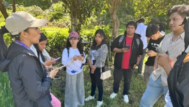 Requisitos para aplicar a Jóvenes en Acción 2025