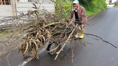 Adultos mayores habrían perdido propiedad por estafa
