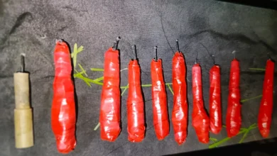 Policía encuentra explosivos en exteriores de la cárcel Cotopaxi.