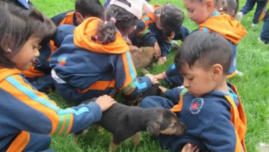 Centro de cuidado de perros visitado por niños de 3 a 4 años