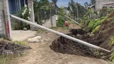 Ambato postes caídos en vía causan preocupación en Santa Rosa.