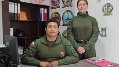 Amor y paciencia para educar a nuestras mascotas