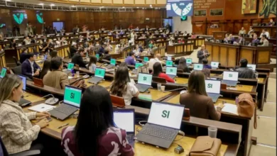 Asamblea reforma ley y reduce representación de minorías