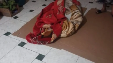 Hombre murió tras ingerir bebidas alcohólicas en Cumandá