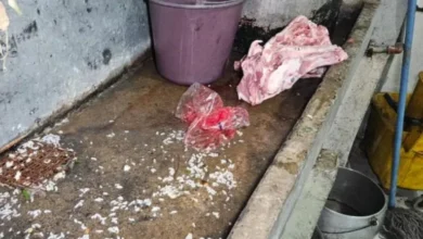 Clausuran chifa que tenía cabezas de animales en Guayaquil