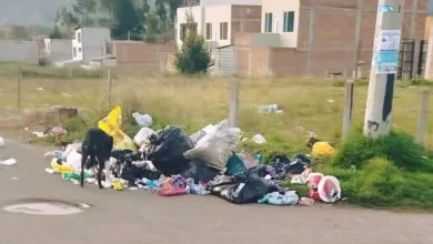 Ambato: Denuncian falta de recolección de basura y ecotachos