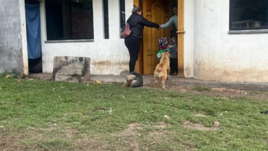 Funcionaria denuncia maltrato y abandono en CDI Bolívar